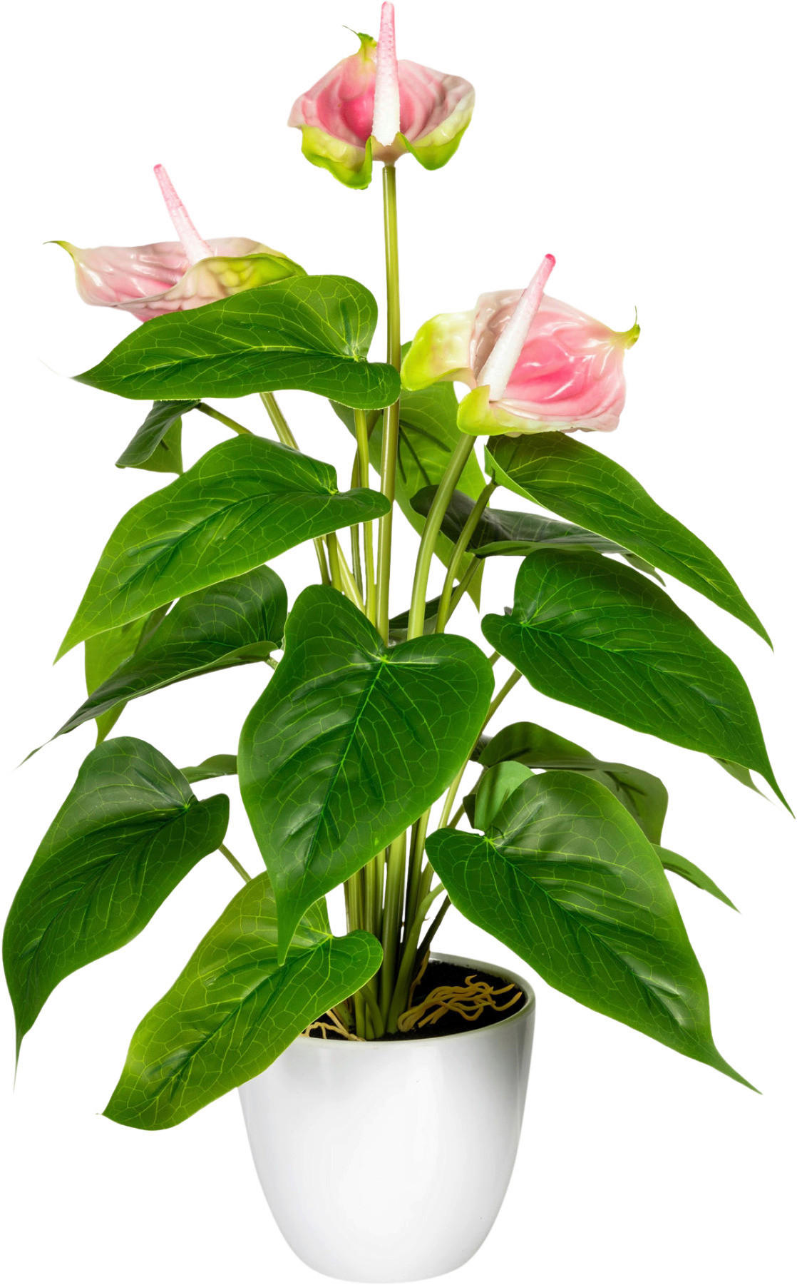 KUNSTPFLANZE Anthurie 40 cm  - Rosa/Weiß, Design, Kunststoff (40cm) - P & B