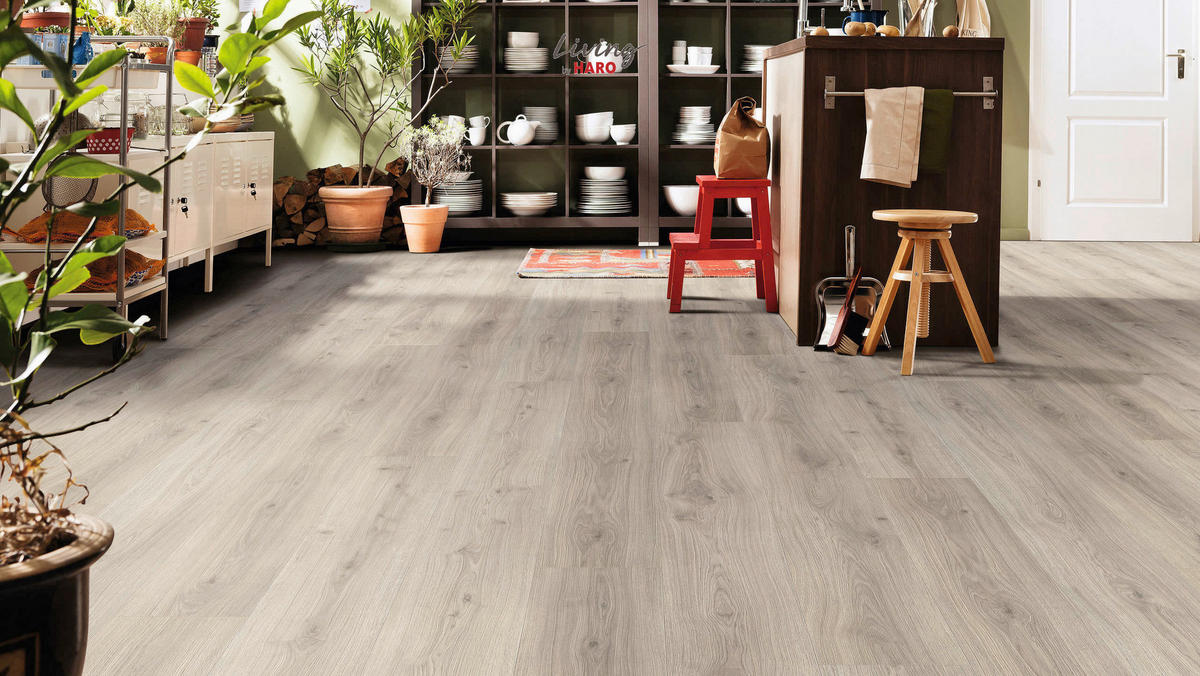 LAMINATBODEN  per  m² - Beige/Graubraun, Natur, Holzwerkstoff (220/24,3/0,8cm) - Living by HARO