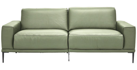 2,5-SITZER in Leder Grün - Schwarz/Grün, Design, Leder/Metall (200/102/92cm) - Johann Jakob
