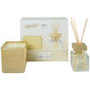 DIFFUSER 50 ml  - Goldfarben, Basics, Glas (50ml) - Ipuro