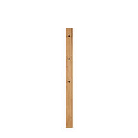 GARDEROBENPANEEL  in 12/163/5 cm  - Eichefarben, Natur, Holz (12/163/5cm) - Linea Natura