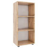 REGAL Honigeiche  - Honigeiche/Schwarz, MODERN, Holzwerkstoff/Kunststoff (49/108/32cm) - MID.YOU