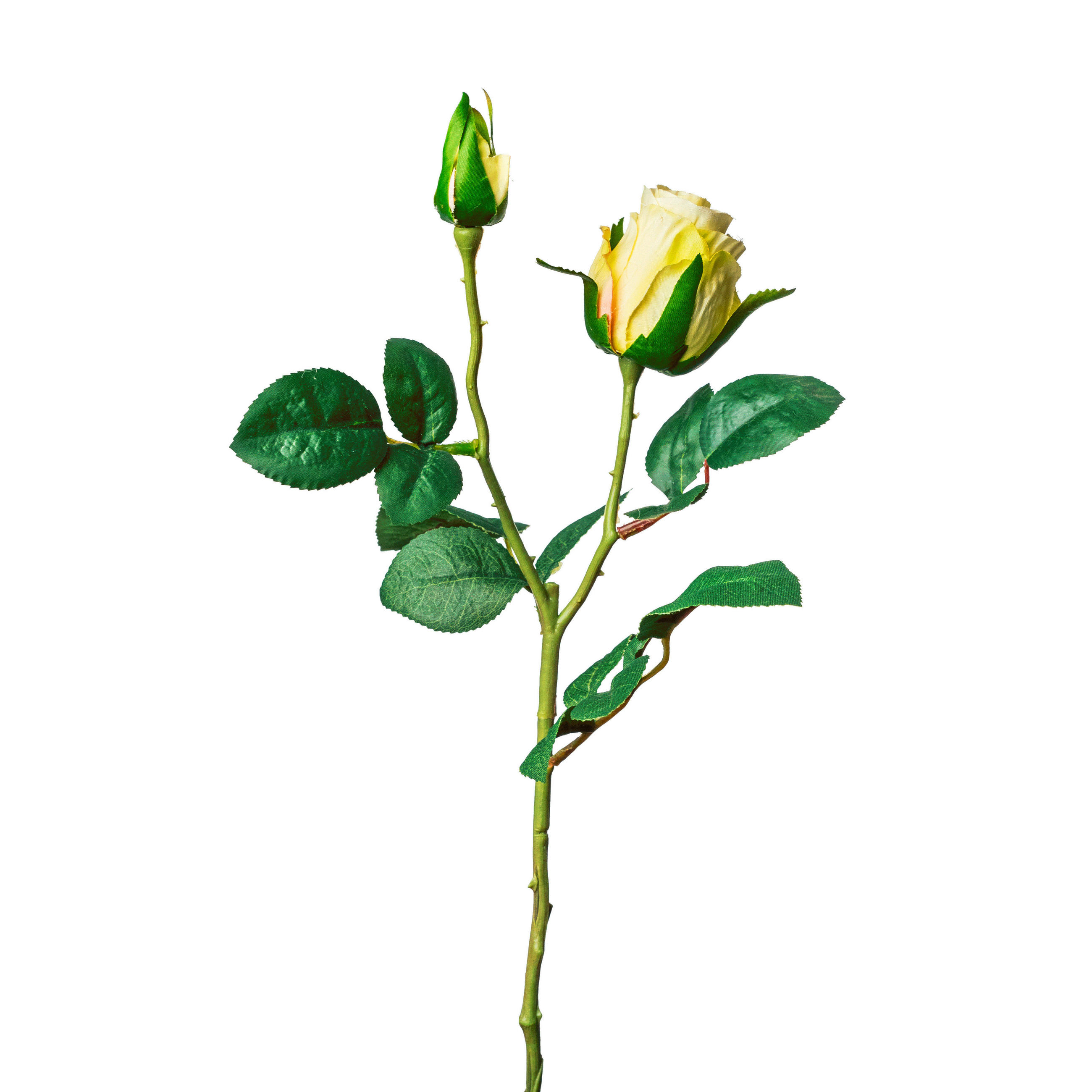 ROSE Rose  - Weiß/Grün, Basics, Kunststoff (45cm)