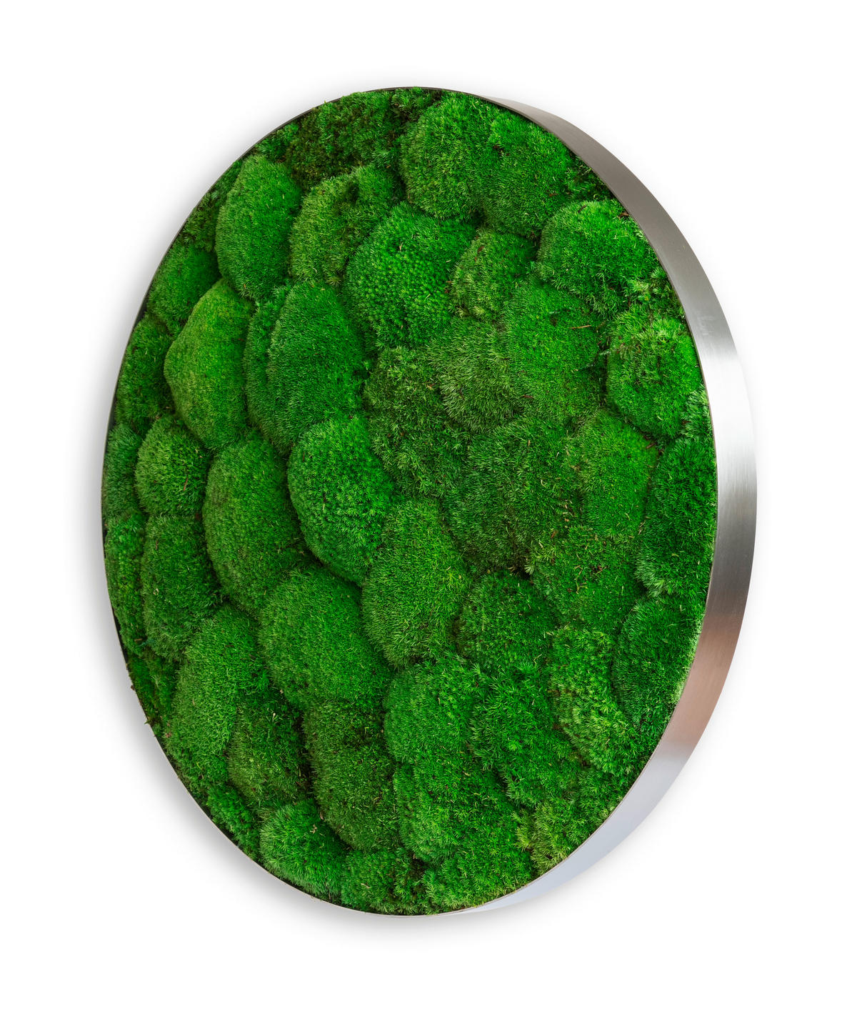 MOOSBILD Stylegreen  - Silberfarben/Grün, Basics, Naturmaterialien/Metall (54/10cm)