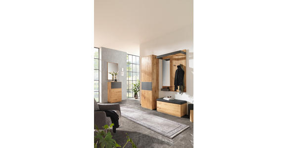 SCHUHSCHRANK  in 60/105/38 cm  - Eichefarben/Anthrazit, Natur, Glas/Holz (60/105/38cm) - Waldwelt