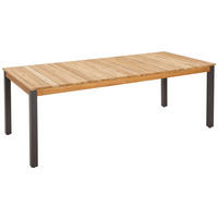 GARTENTISCHPLATTE 220/100/8,2 cm Holz  - Teakfarben, Design, Holz (220/100/8,2cm) - Zebra 