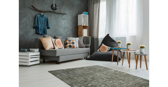 WEBTEPPICH 120/170 cm Olivgrün  - Olivgrün, Basics, Textil (120/170cm) - Novel