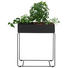 BLUMENSTÄNDER in Metall - Schwarz, Design, Metall (60,5/75/25,5cm) BLUMENSTÄNDER in Metall - Schwarz, Design, Metall (60,5/75/25,5cm)