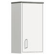 HÄNGESCHRANK 32/60/21 cm - Silberfarben/Weiß, MODERN, Holzwerkstoff/Kunststoff (32/60/21cm) - Xora