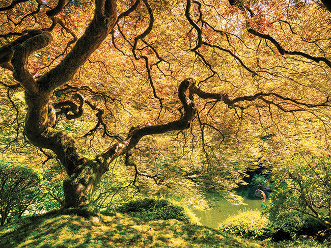 Keilrahmenbild 60/80/3 cm