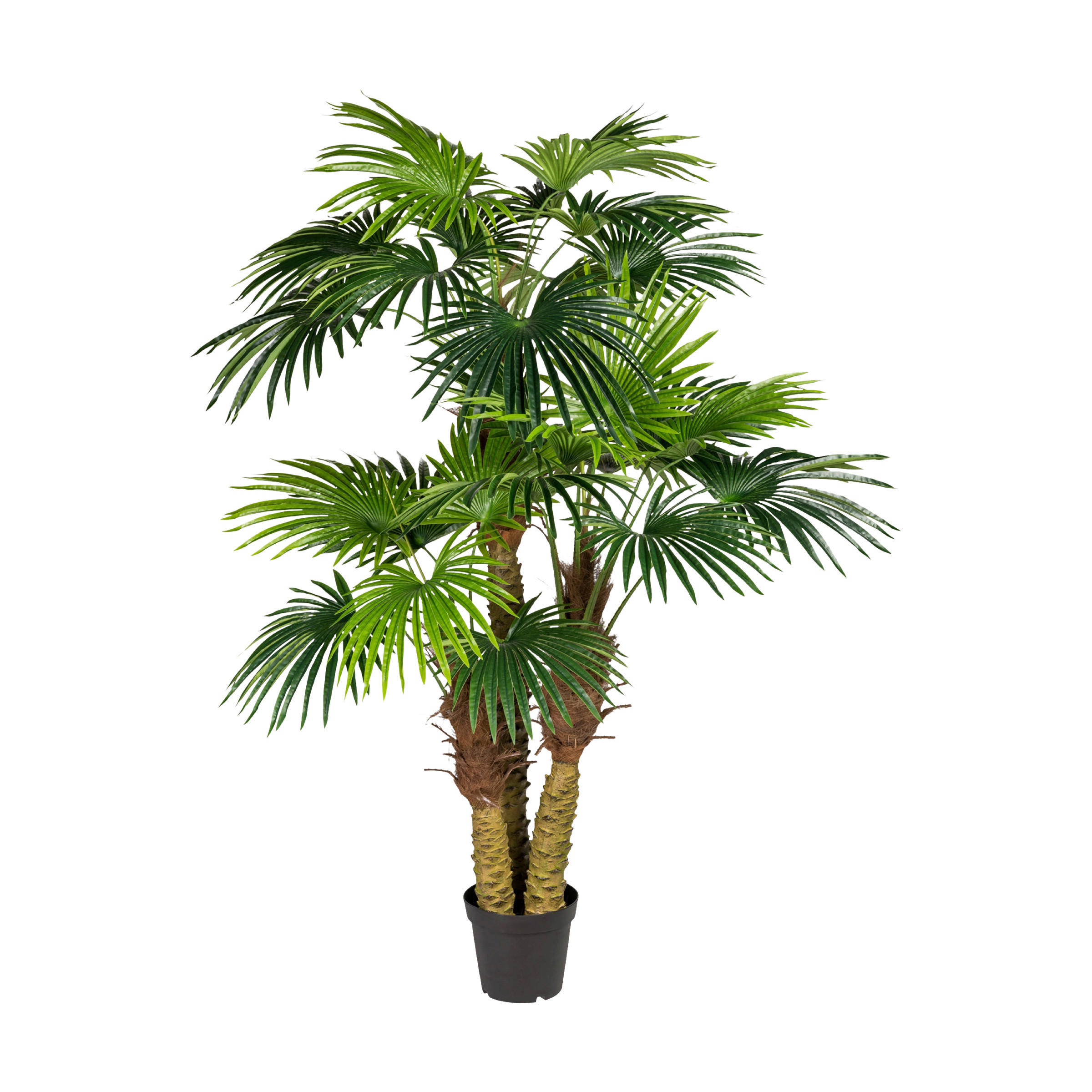 KUNSTPFLANZE Palme 185 cm  - Schwarz/Braun, Design, Kunststoff (185cm) - P & B