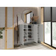 SCHUHSCHRANK Kaschmir  - Kaschmir, Design, Holzwerkstoff (120/100/34cm) - Hom`in