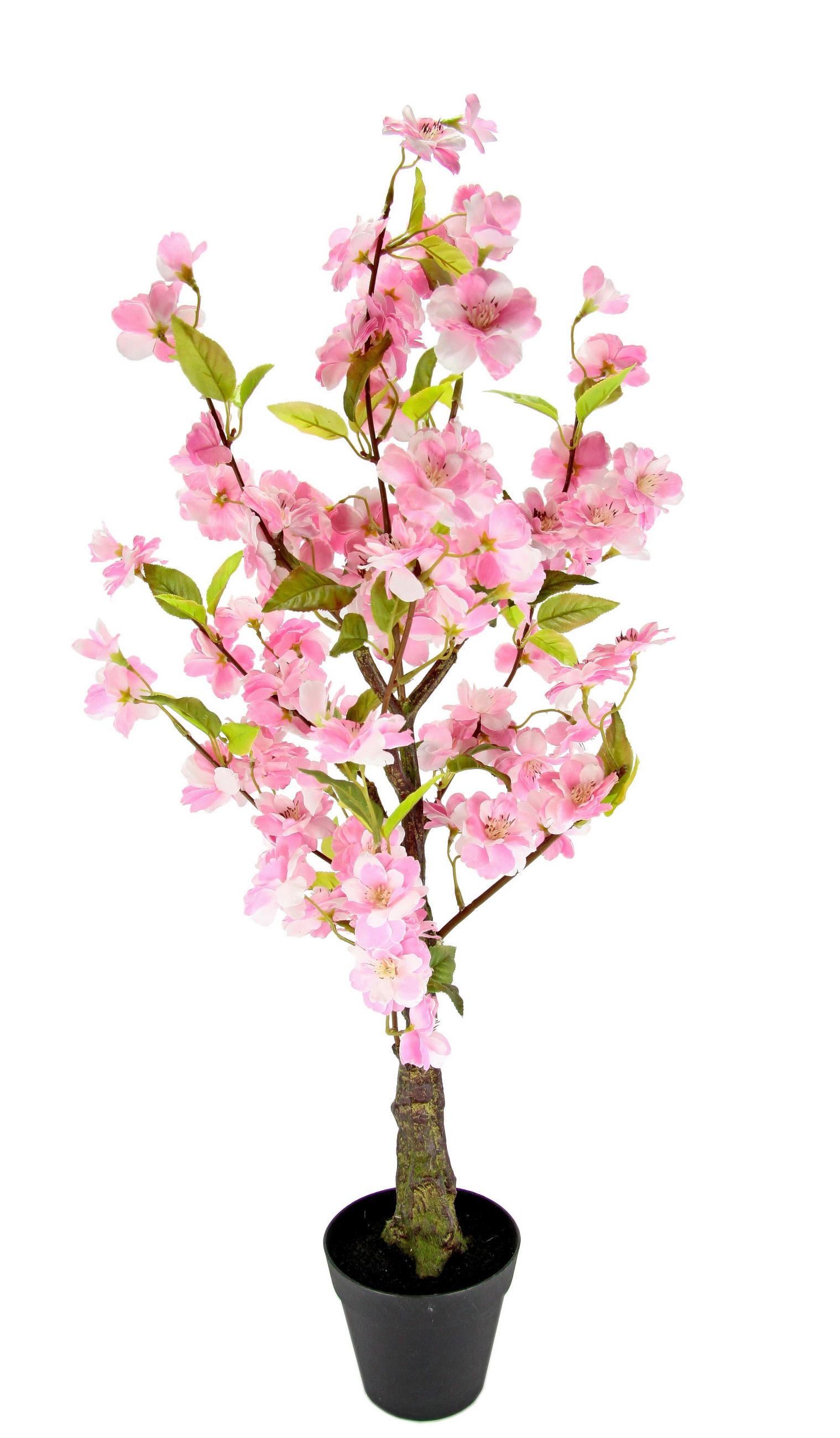 XXXLutz Kunstpflanze Rosa 70 cm