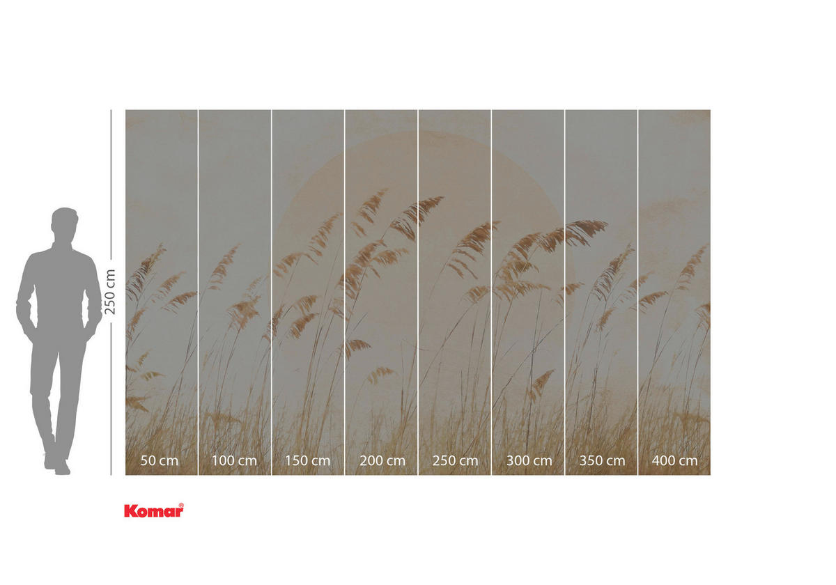 VLIESTAPETE 2,5 m  - Gelb/Braun, Basics (400/250cm) - Xora