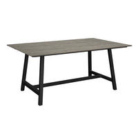 GARTENTISCH Metall, Kunststoff Hellgrau, Dunkelgrau rechteckig  - Dunkelgrau/Hellgrau, Design, Kunststoff/Metall (160/100/68cm) - Amatio