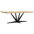 TISCHPLATTE      - Eichefarben, Design, Holz (220/100/4cm) - Landscape