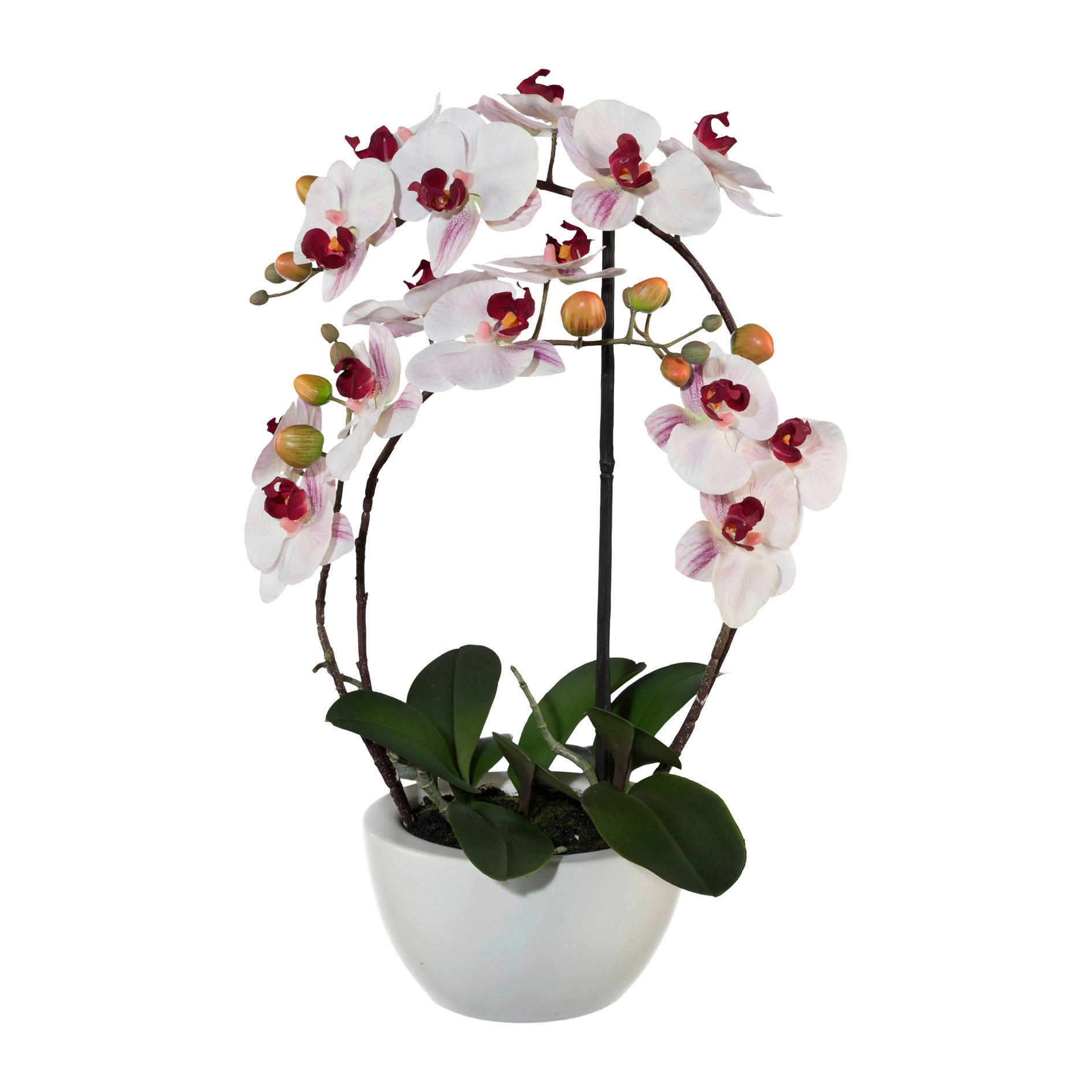 KUNSTBLUME Orchidee  - Rosa/Weiß, Basics, Keramik/Kunststoff (52cm)