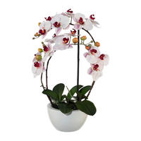 KUNSTBLUME - Rosa/Weiß, Basics, Keramik/Kunststoff (52cm)