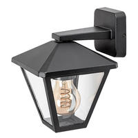 SPOLJNA ZIDNA SVETILJKA Paravento  - prozirna/crna, Konvencionalno, staklo/metal (16/22cm)