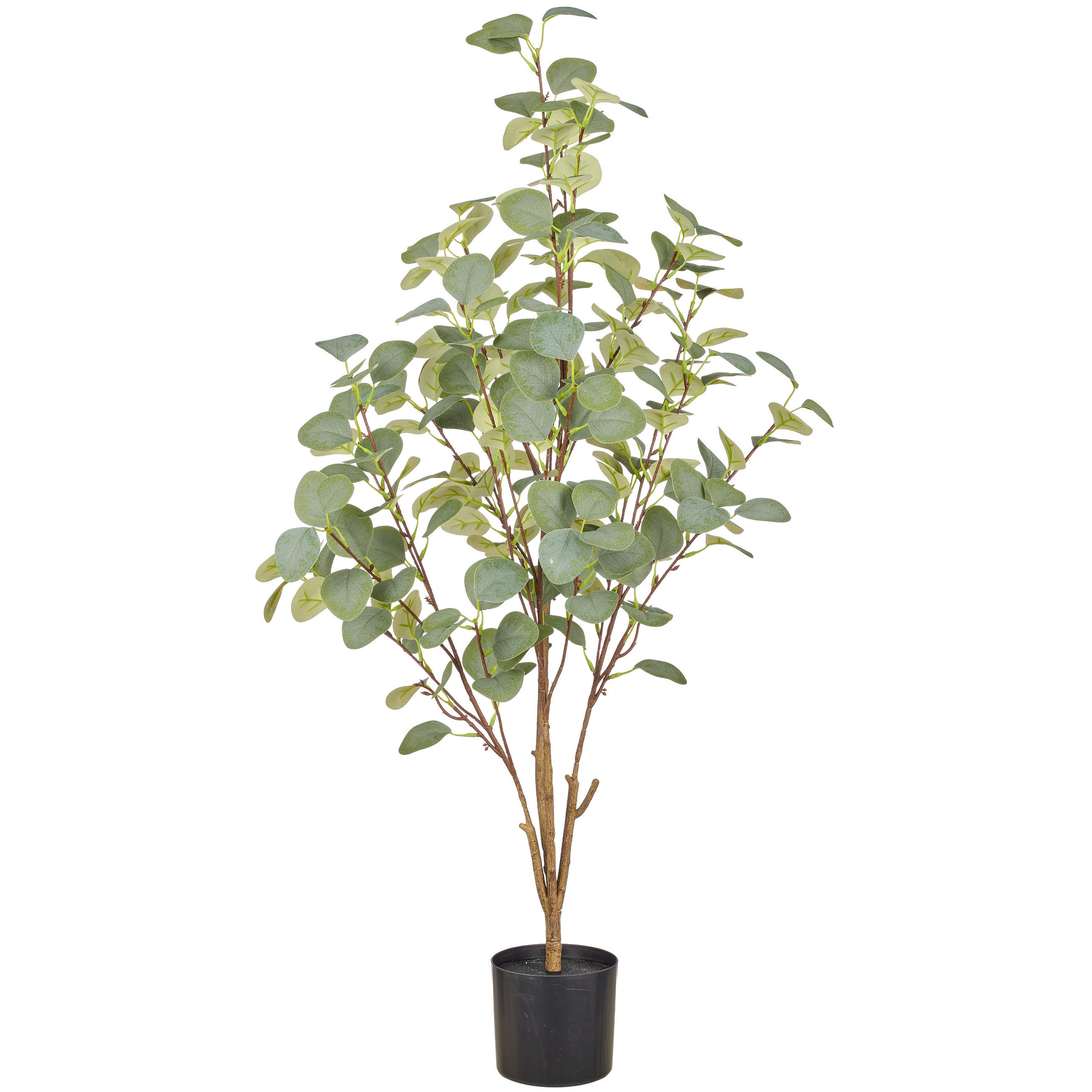 KUNSTPFLANZE Eukalyptus 100 cm  - Schwarz/Braun, Basics, Kunststoff (100cm)