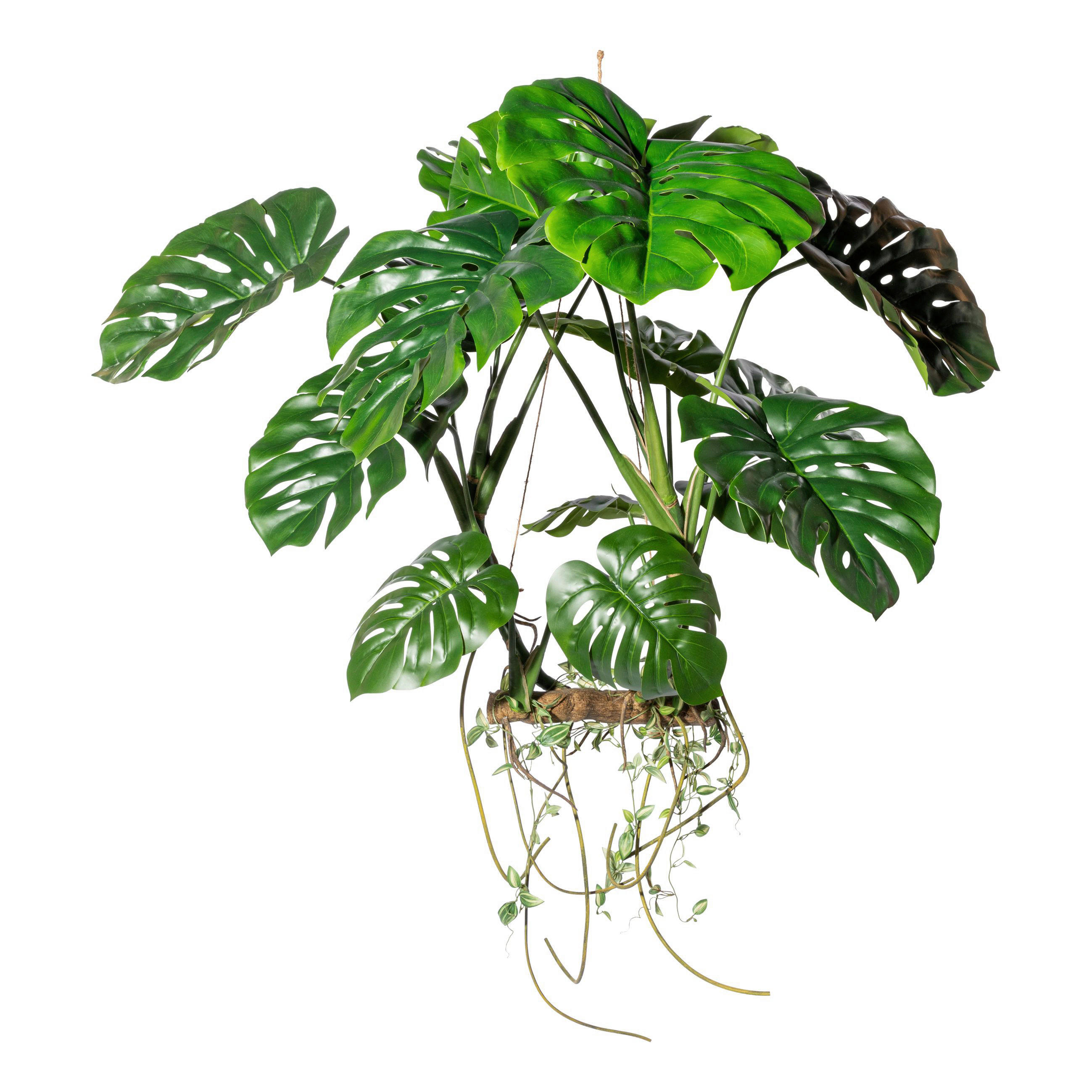 KUNSTPFLANZE Split Philodendron 100 cm  - Braun/Grün, Design, Kunststoff (100cm) - P & B