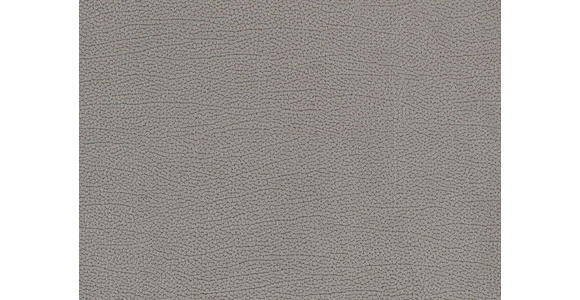 2-SITZER-SOFA Lederlook Hellgrau - Chromfarben/Hellgrau, KONVENTIONELL, Textil/Metall (212/85/95cm) - Carryhome