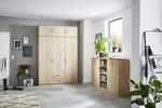 DREHTÜRENSCHRANK 2-türig Sonoma Eiche  - Silberfarben/Sonoma Eiche, Basics, Holzwerkstoff/Metall (72/194/54cm) - Xora