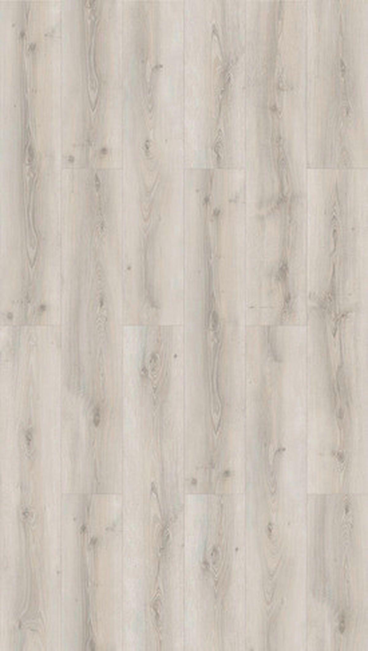 Laminatboden Eiche Natur Basic 600  per  m² - Eichefarben/Hellgrau, KONVENTIONELL, Holzwerkstoff (128,5/24,3/0,8cm) - Parador