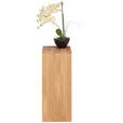 BLUMENSTÄNDER in Holz 25/25/60 cm  - Eichefarben, Natur, Holz (25/25/60cm) - Linea Natura