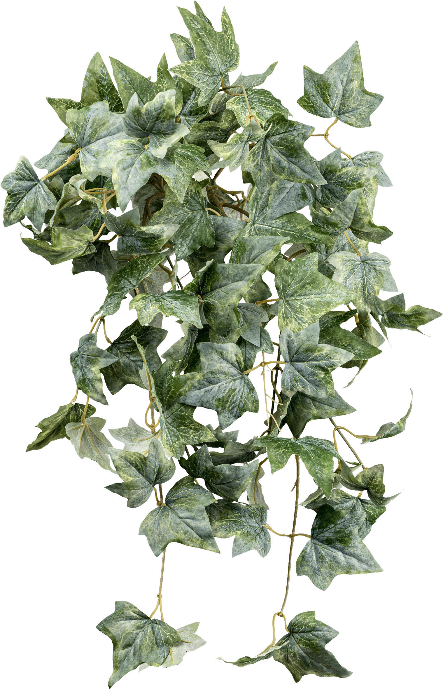 KUNSTPFLANZE Efeu 70 cm  - Grau/Grün, Design, Kunststoff (70cm) - P & B