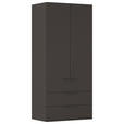 DREHTÜRENSCHRANK 101/235/61 cm,  in Graphitfarben, 2-türig  - Graphitfarben, Basics, Holzwerkstoff/Metall (101/235/61cm) - Novel