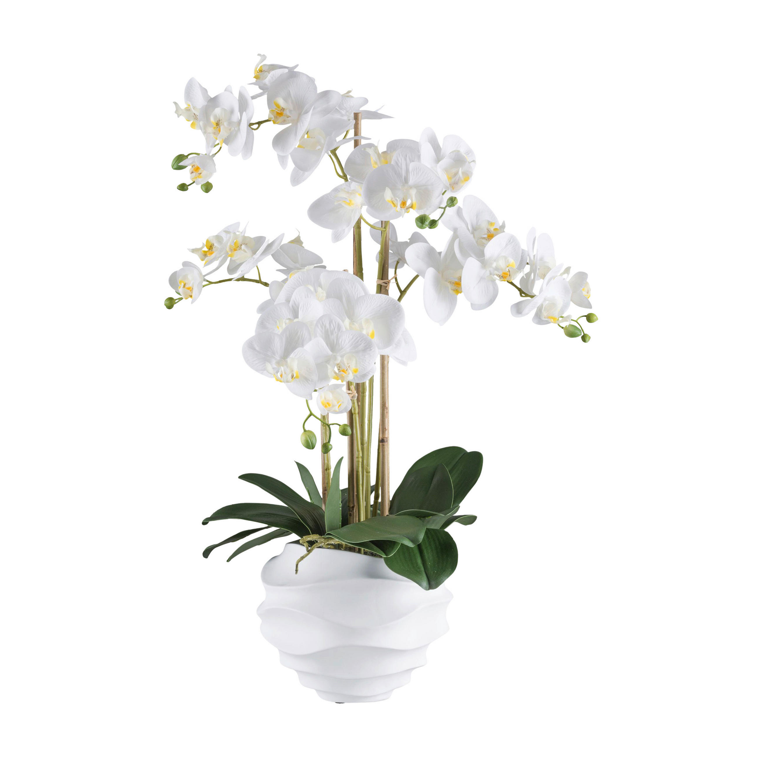 KUNSTPFLANZE Orchidee 70 cm  - Weiß/Grün, Design, Kunststoff (70cm) - P & B
