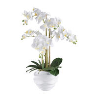 KUNSTPFLANZE Orchidee 70 cm  - Weiß/Grün, Design, Kunststoff (70cm) - P & B