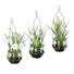 KUNSTBLUMENSET 3-TEILIG Schneeglöckchen - Weiß/Grün, Kunststoff (20cm) KUNSTBLUMENSET 3-TEILIG Schneeglöckchen - Weiß/Grün, Kunststoff (20cm)