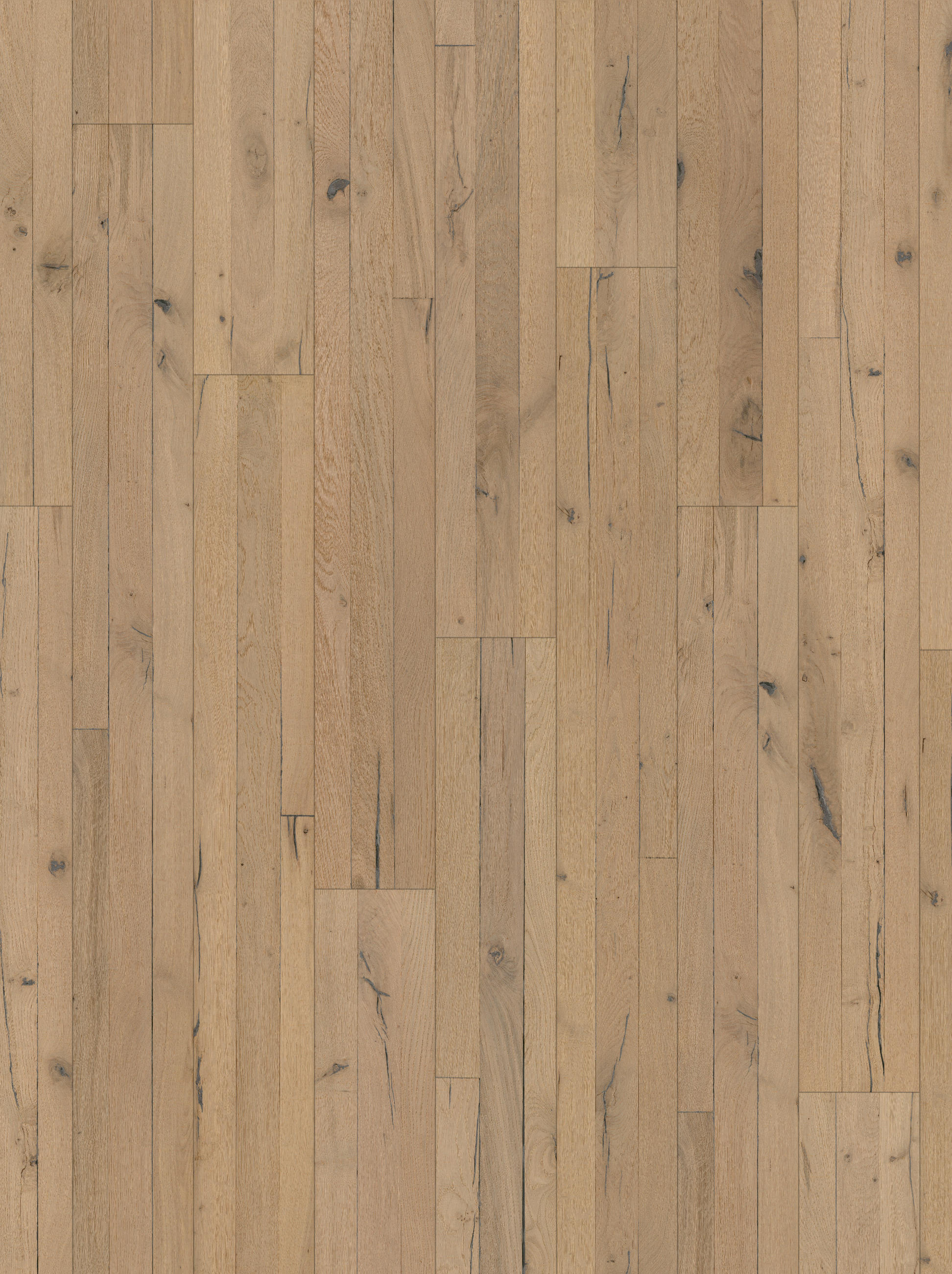 PARKETTBODEN Trendtime  per  m² - Eichefarben/Hellgrau, LIFESTYLE, Holz (188,2/19/1,5cm) - Parador