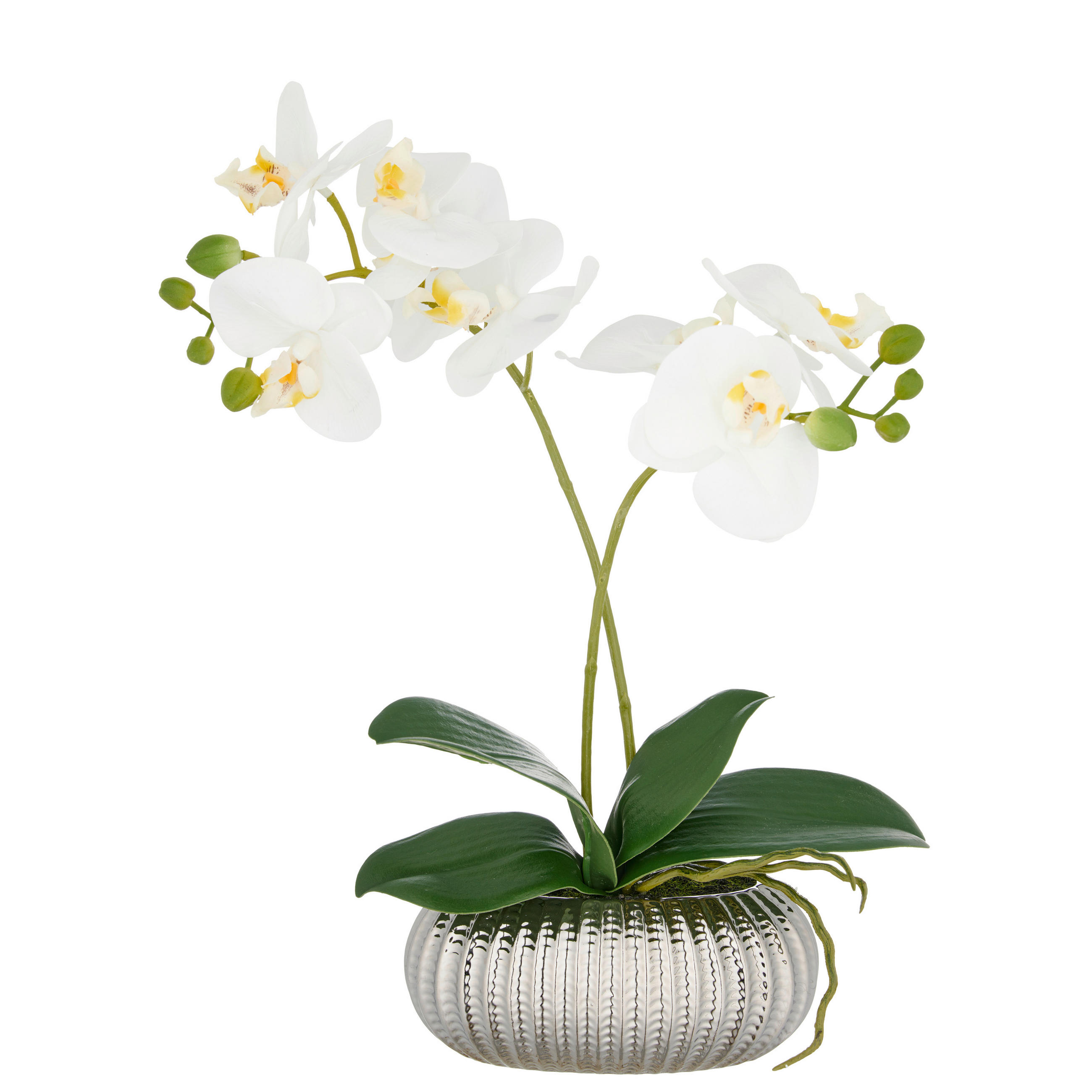 KUNSTPFLANZE Orchidee  - Silberfarben/Schwarz, Basics, Keramik/Kunststoff (20/40/20cm) - P & B