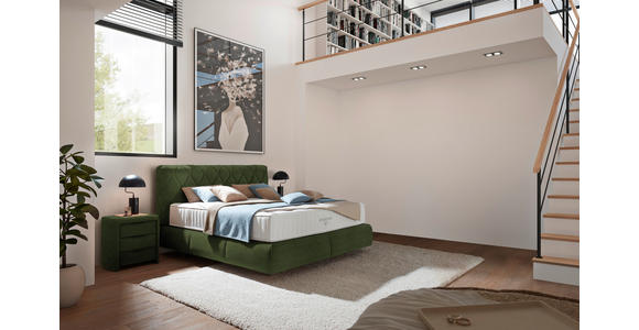 BOXSPRINGBETT 160/200 cm  in Olivgrün  - Schwarz/Olivgrün, Design, Kunststoff/Textil (160/200cm) - Johann Jakob