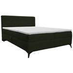 BOXBETT 160/200 cm  in Grün  - Schwarz/Grün, Design, Holz/Holzwerkstoff (160/200cm) - Xora
