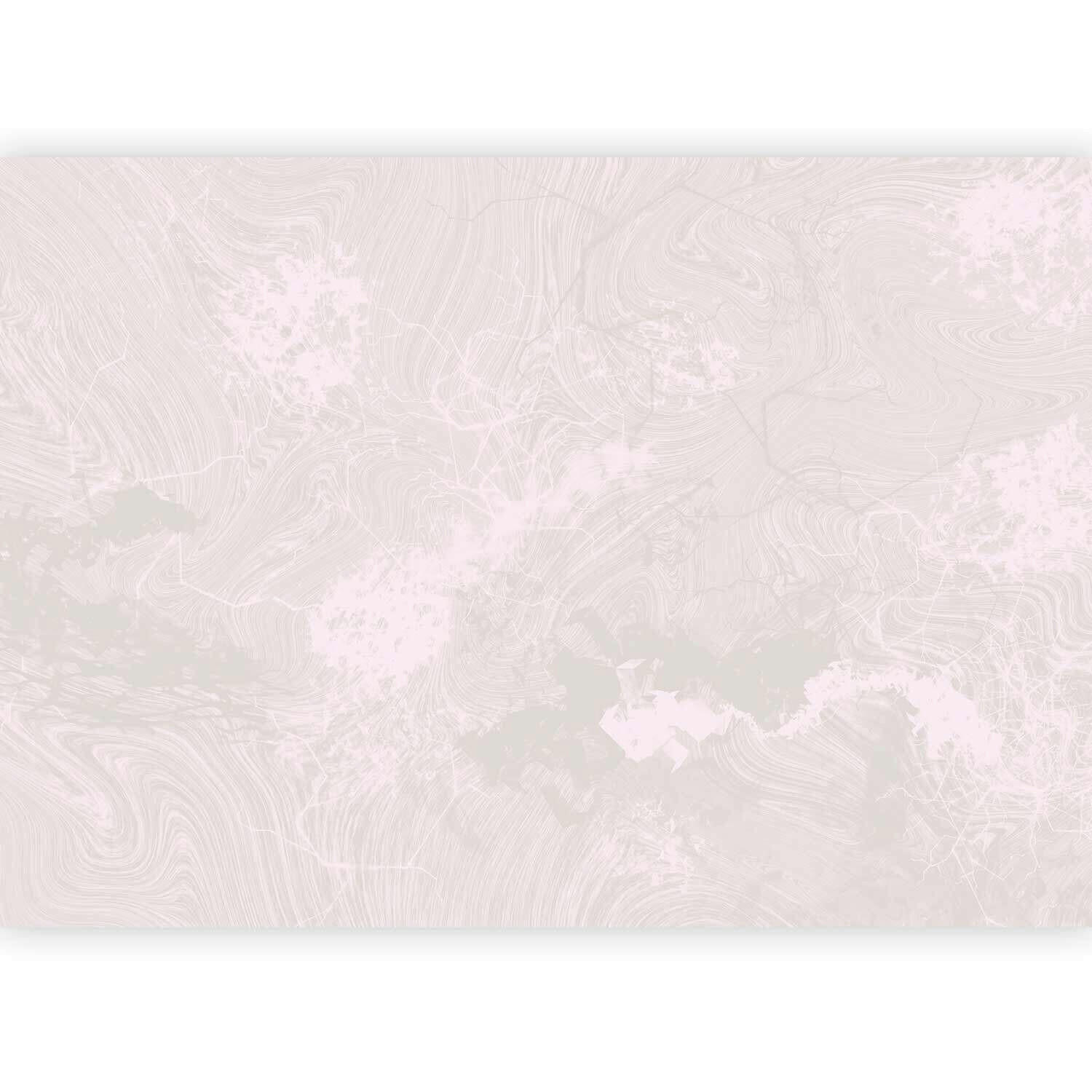 FOTOTAPET 300/210 cm  - ljusrosa, Lifestyle, textil (300/210cm) - artgeist