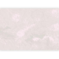 FOTOTAPET 300/210 cm  - ljusrosa, Lifestyle, textil (300/210cm) - artgeist