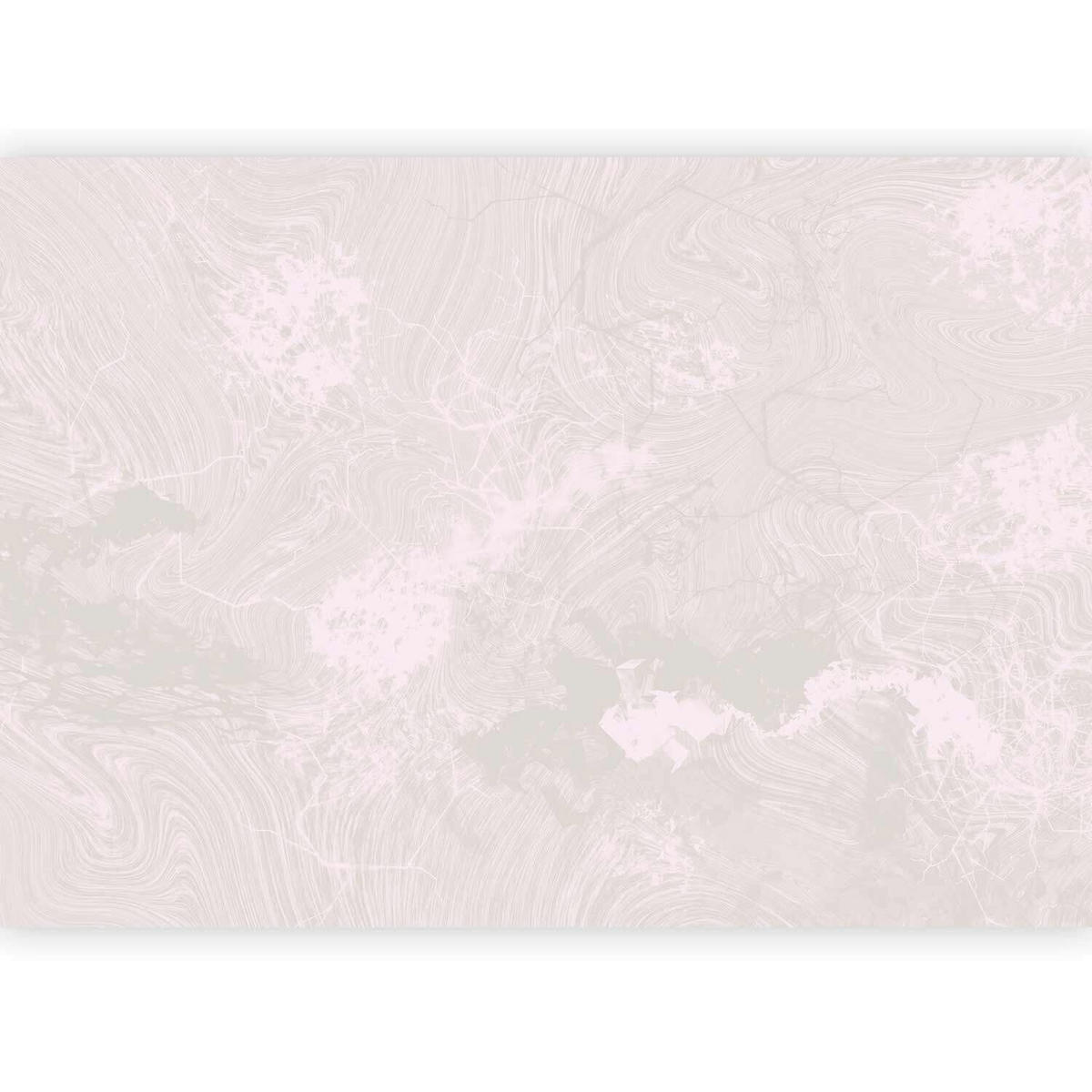 FOTOTAPET 300/210 cm  - ljusrosa, Lifestyle, textil (300/210cm) - artgeist