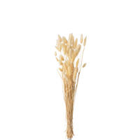 TROCKENBLUMENSTRAUß  - Beige, Basics, Naturmaterialien (10/4/75cm)