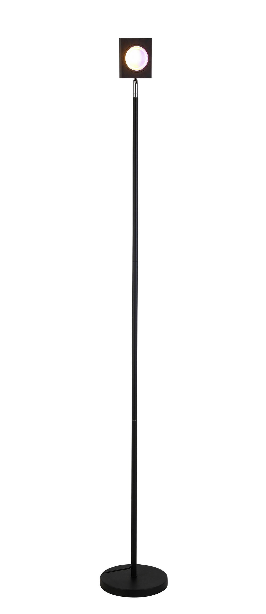 LED-STEHLEUCHTE Ryusei 18/143,5 cm   - Schwarz, Design, Metall (18/143,5cm) - Novel