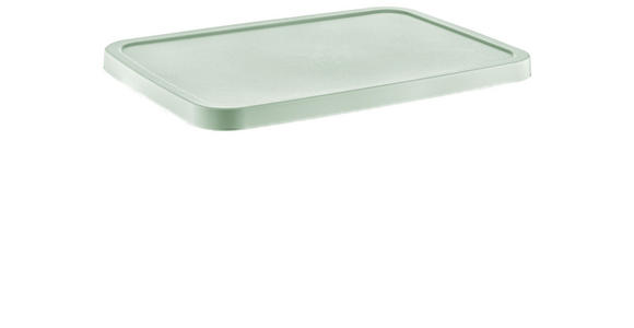 DECKEL - Grün, Basics, Kunststoff (28/38,5cm) - Homeware