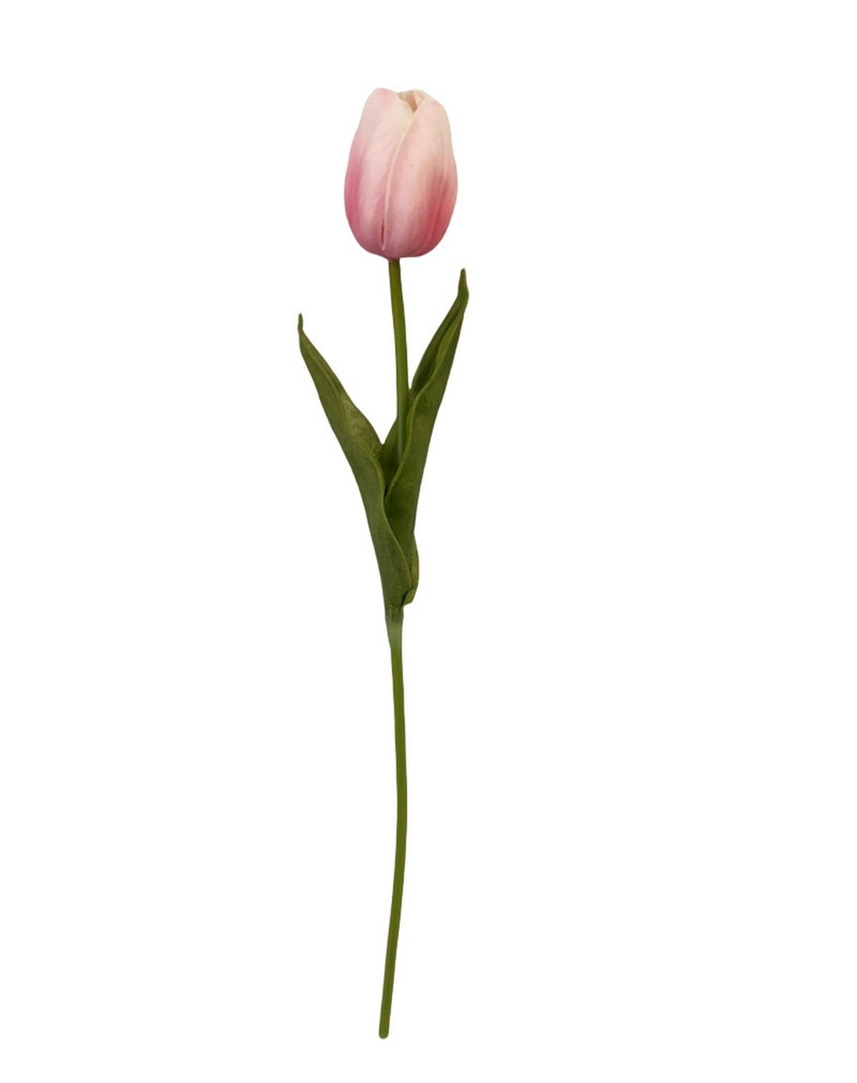 TULIPÁN - krémszínű/sárga, Lifestyle, műanyag (36cm)
