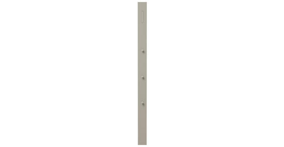GARDEROBENPANEEL in 10/165/3 cm - Taupe, Design, Holzwerkstoff/Metall (10/165/3cm) - Moderano