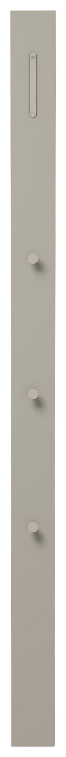 PANNEAU DE GARDE-ROBE  in 10/165/3 cm  - Taupe, Design, Holzwerkstoff/Metall (10/165/3cm) - Moderano