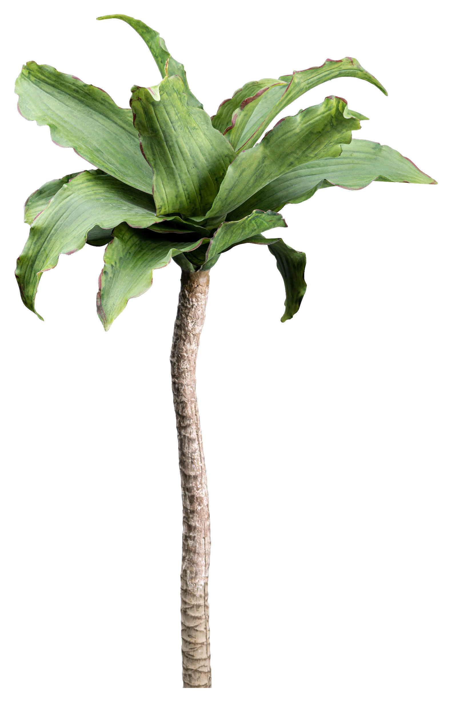 KUNSTPFLANZE Agave 63 cm  - Braun/Grün, Design, Kunststoff (63cm)
