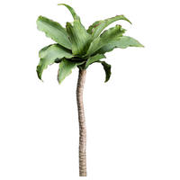 KUNSTPFLANZE Agave 63 cm  - Braun/Grün, Design, Kunststoff (63cm)
