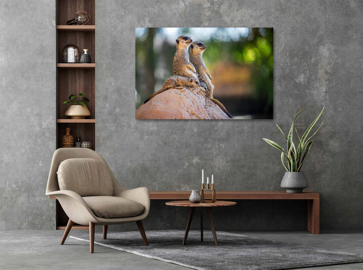 ALUMINIUMBILD 148/98 cm  - Sandfarben/Beige, Design, Kunststoff/Metall (148/98cm)